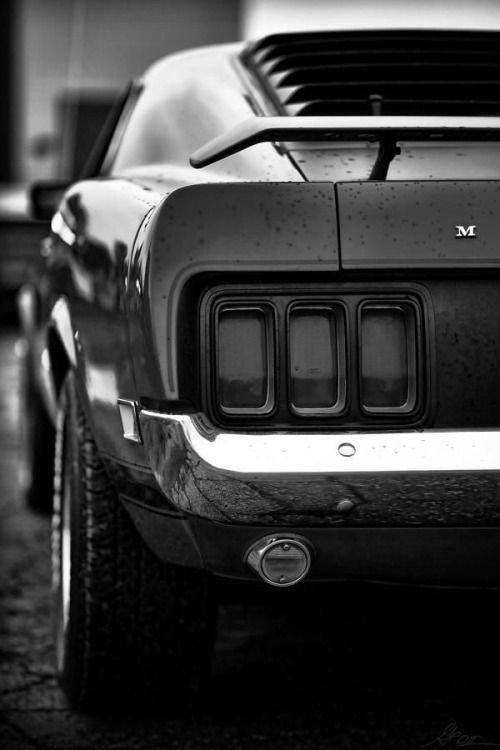 Taillights 129.jpg